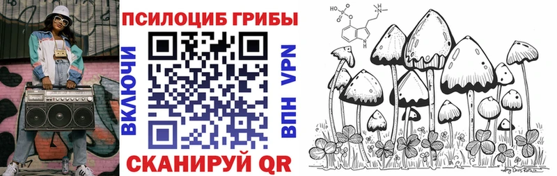 Псилоцибиновые грибы Psilocybe  мега зеркало  shop формула  Ленинск-Кузнецкий 